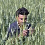 Le réchauffement climatique menace l’agriculture